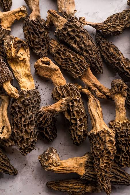 Morel mushroom (Gucchi)